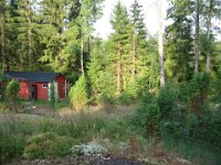 juni2007 2 320